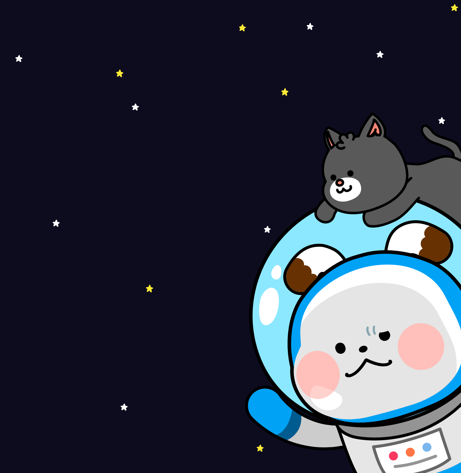 서비스